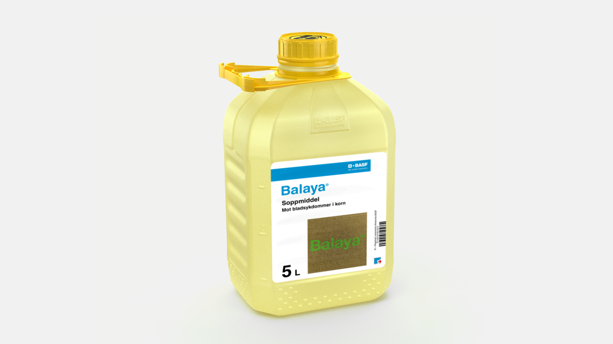 Balaya - 58259721