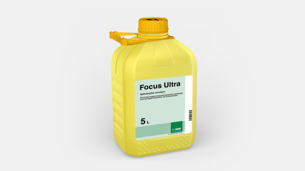 Focus Ultra - 58665360