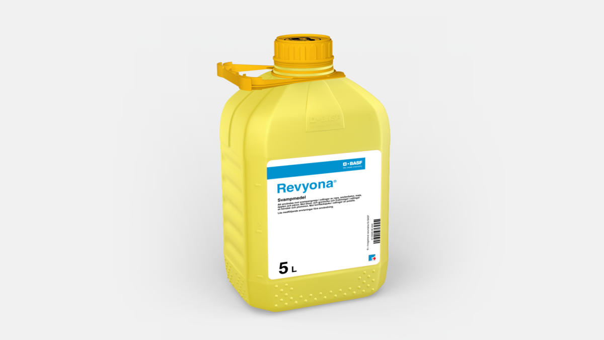 Revyona - 58278692
