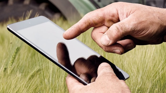 Tone Stigen Martinsen